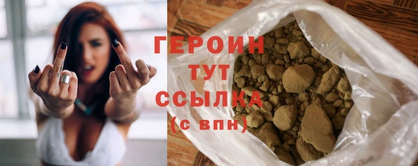 прущие грибы Новозыбков
