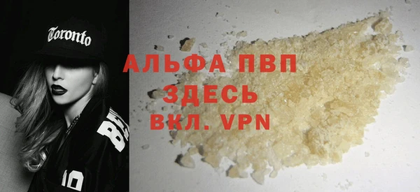 прущие грибы Новозыбков