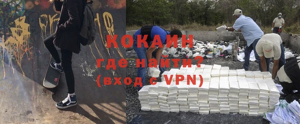 прущие грибы Новозыбков