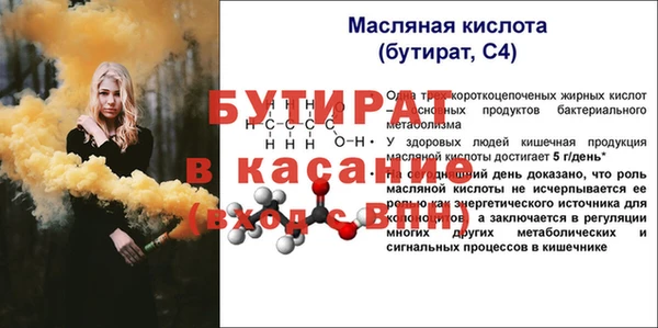 прущие грибы Новозыбков
