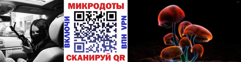 Псилоцибиновые грибы MAGIC MUSHROOMS закладка Ишимбай